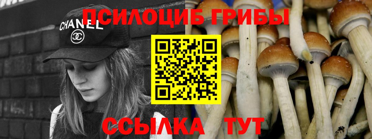 Галлюциногенные грибы MAGIC MUSHROOMS  Вход с VPN  Галлюциногенные грибы MAGIC MUSHROOMS  где можно купить   Нарткала 